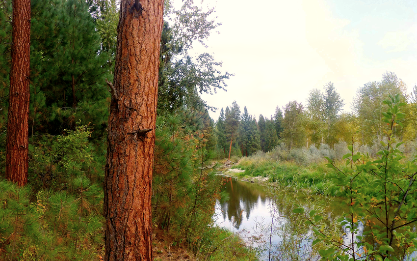 Bitterroot Valley, Montana