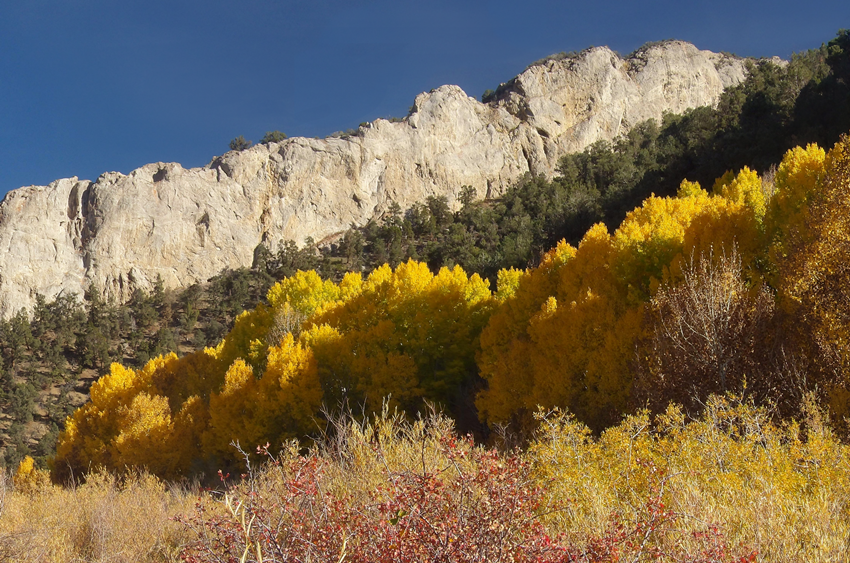 Cave Creek, Nevada