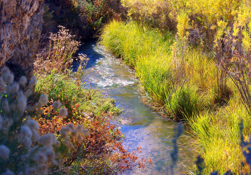 Cave Creek, Nevada