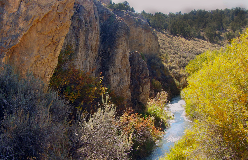 Cave Creek, Nevada