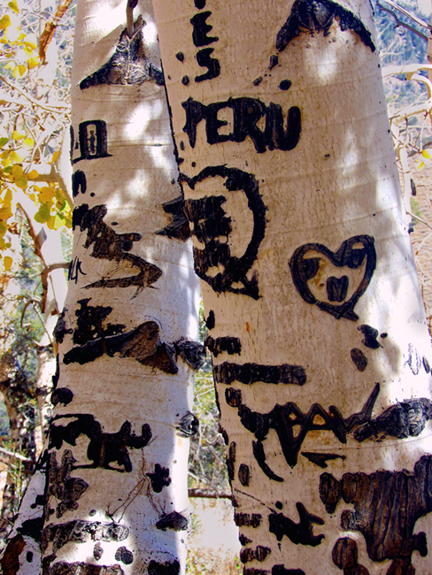 Cave Creek, Nevada