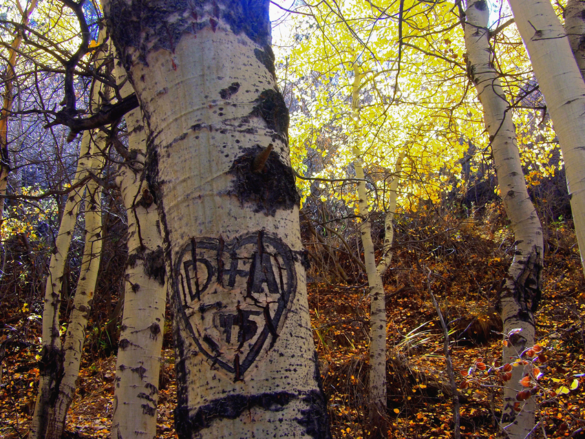 Cave Creek, Nevada
